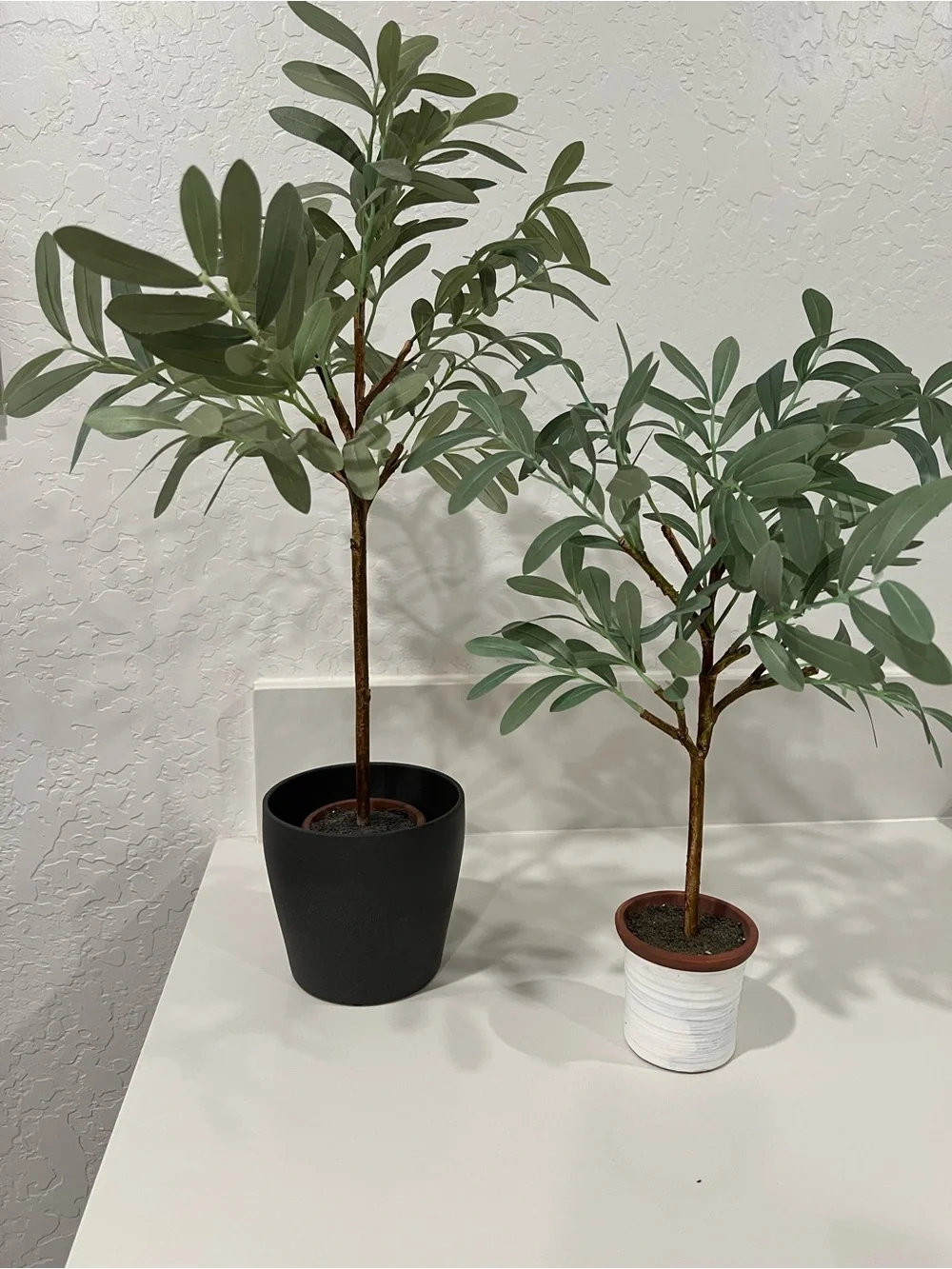 Faux Olive Trees  Grey pot not included Taller: 23” ht Shorter: 19” ht